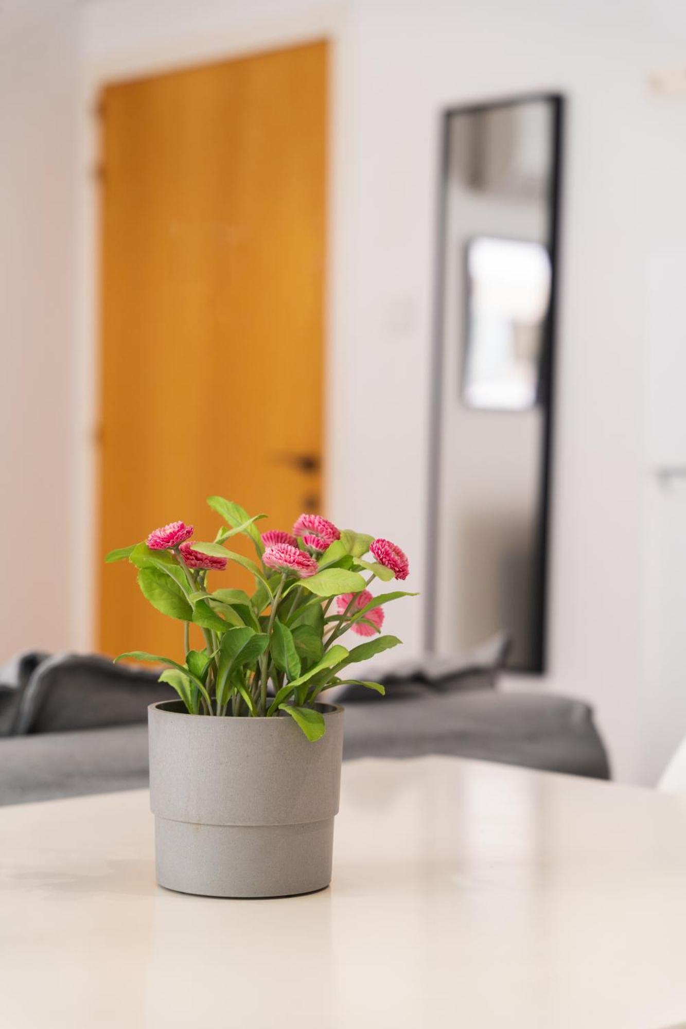 Appartamento Kave Blue Mackenzie 1 Bdr Flat Larnaca Esterno foto